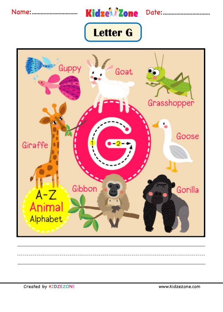animals that start with the letter g