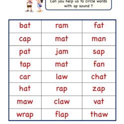 ap word family worksheets - Reading, writing and activity worksheets